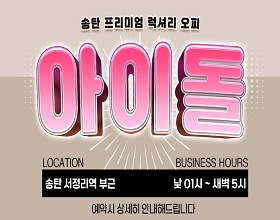 아이돌